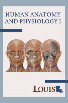 Human Anatomy and Physiology I book cover