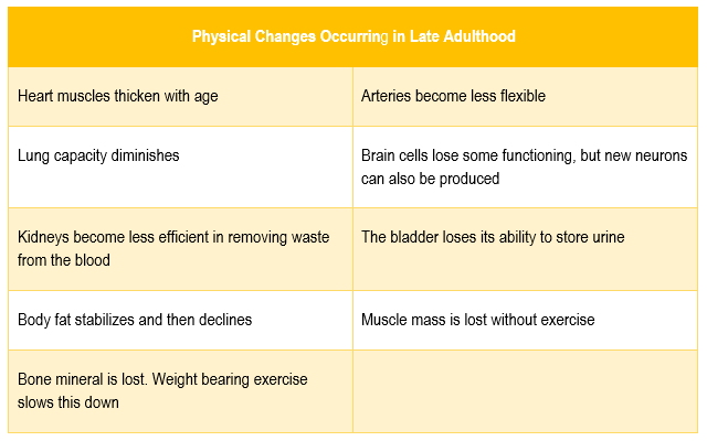 A chart lists Physical Changes that occur in late adulthood.