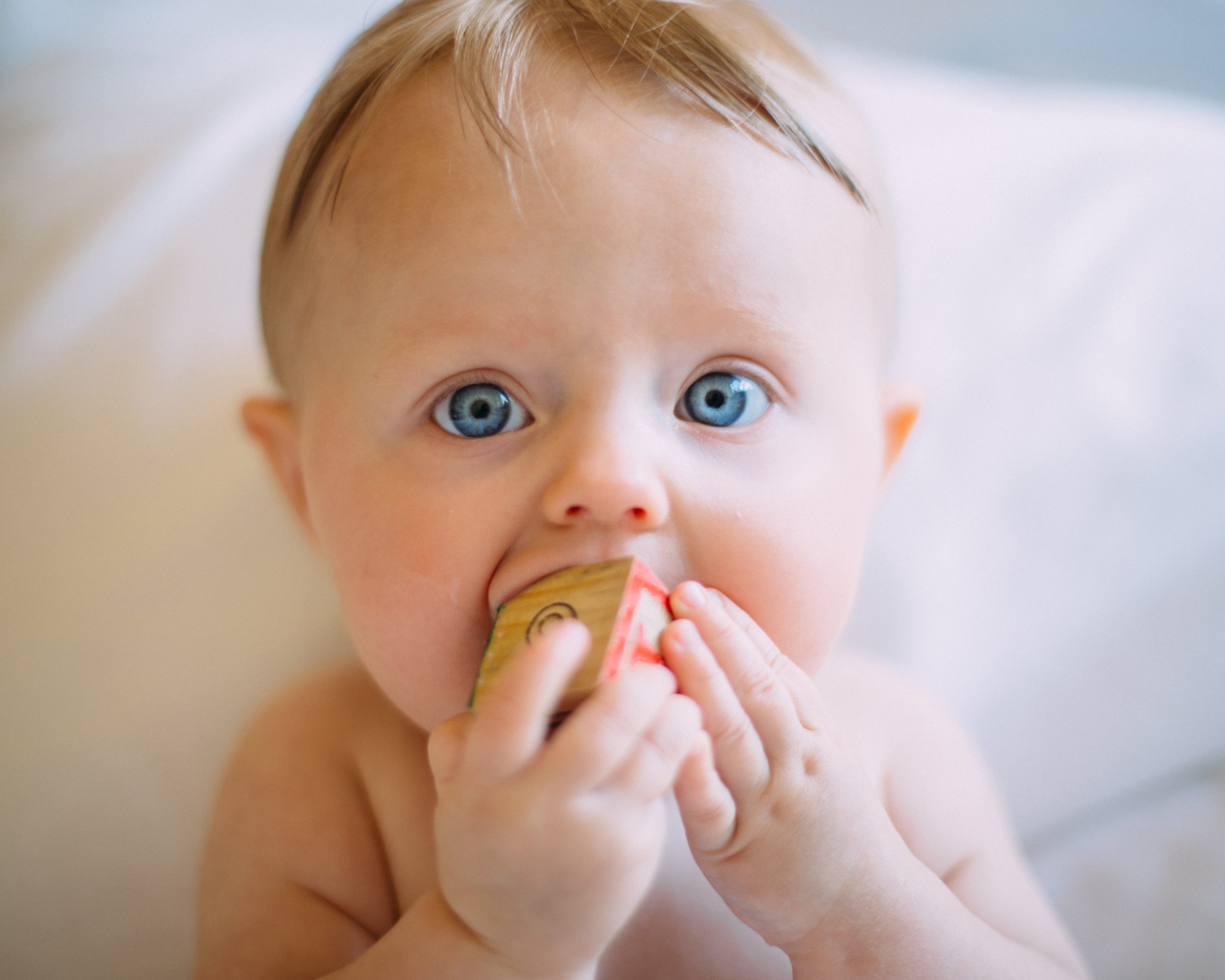 Close up photo of a toddler with a wooden block in their mouth and looking at the camera with wide eyes.