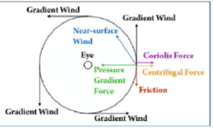 An image showing a hurricane's primary circulation that involves four main forces: gradient wind, the Coriolis force, the centrifugal force, and friction. All of these forces are indicated as vectors.