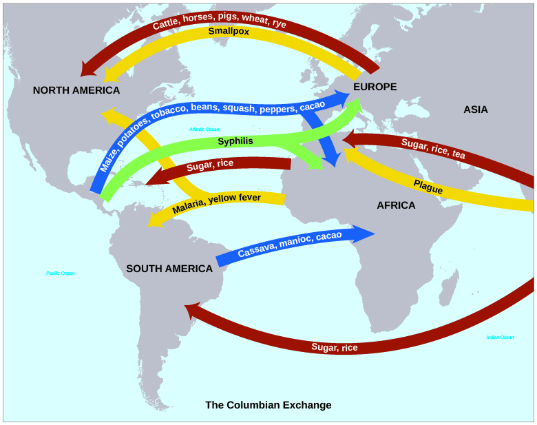 A map shows the “Columbian Exchange” of goods and diseases.
