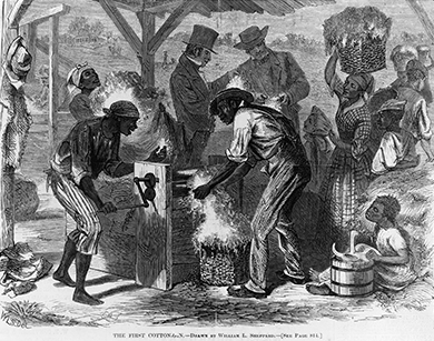 Drawing shows the first use of a cotton gin “at the close of the last century.” Enslaved African Americans handle the gin while White men conduct business in the background.